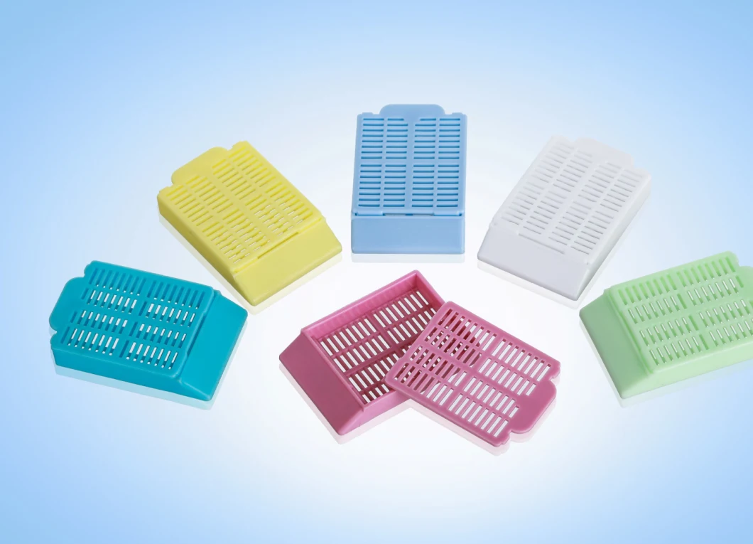 Disposable Laboratory Plastic Round Holes Histology Tissue Embedding Cassettes