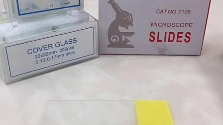 Caixa de armazenamento de lâmina de microscópio 100 lugares