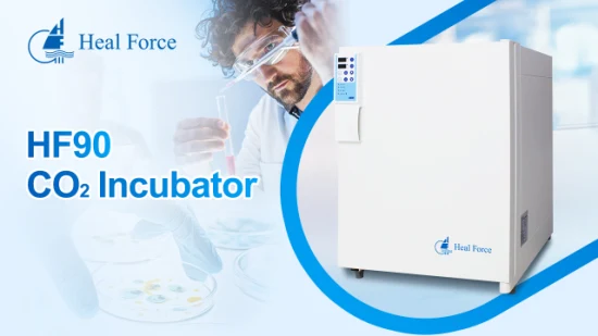 Heal Force Lab Cultura de Células CO2 Incubadora 150L Biologia para Equipamento de Laboratório Incubadora de CO2